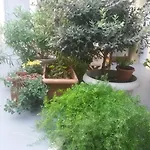 Ersi סנטוריני