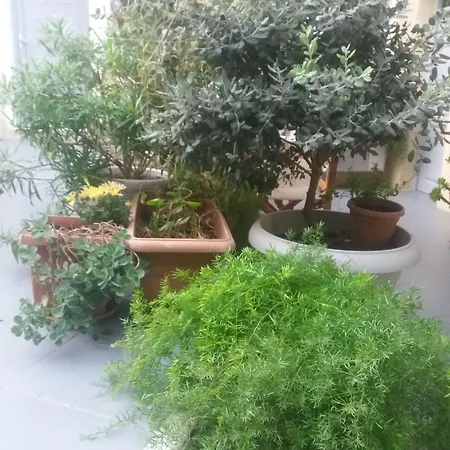 Ersi Fira (Santorini)