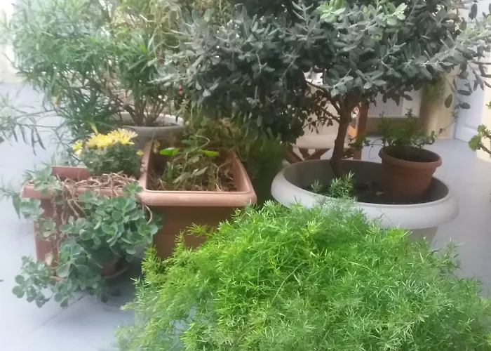 Ersi סנטוריני