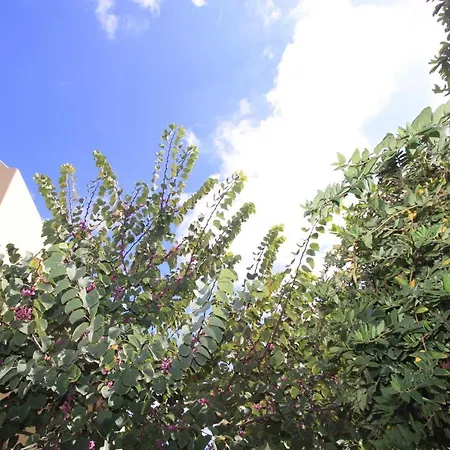 Aparthotel Ersi 3*